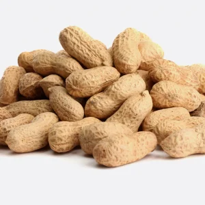 Fresh Raw Shell Peanuts (1lb)