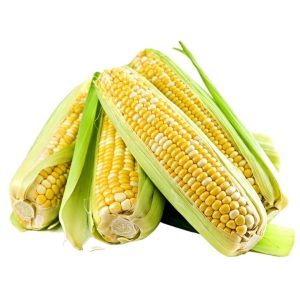 Fresh Corn ( Each)