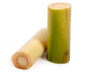 Banana Stem (approxli  2 & 3lb)