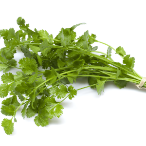 Cilantro(coriander Dhana) (bunch)