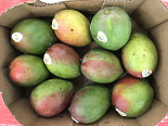 Haden Mango(each)