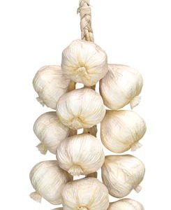 Garlic (bunch)