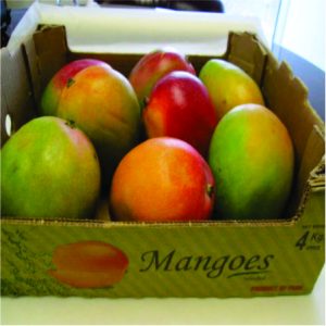 Dominican Mango Box