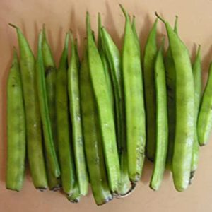 Gavar/guvar/cluster Beans (lb)