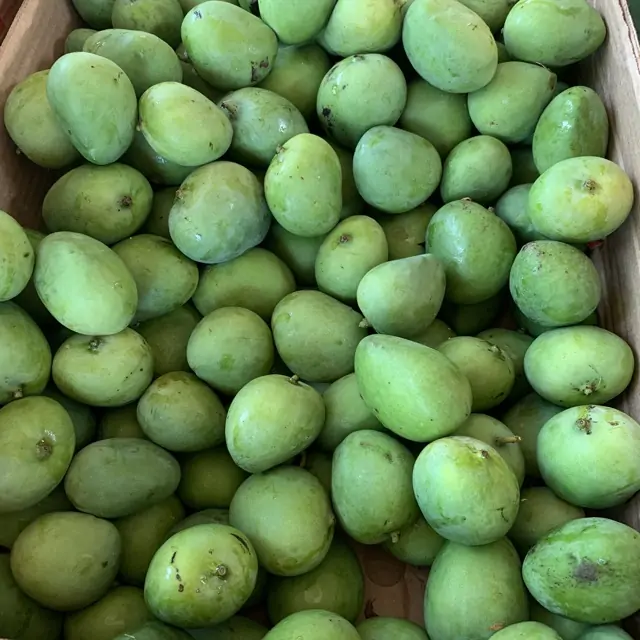 Baby Mango (1 Lb)