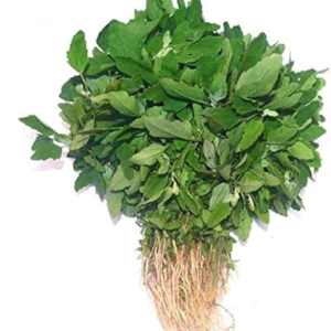 Bathua Leaves (EACH)