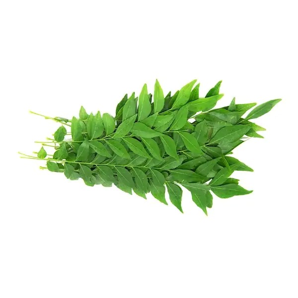 Curry Leaves (100 gram)