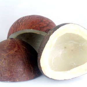 Dry coconut half