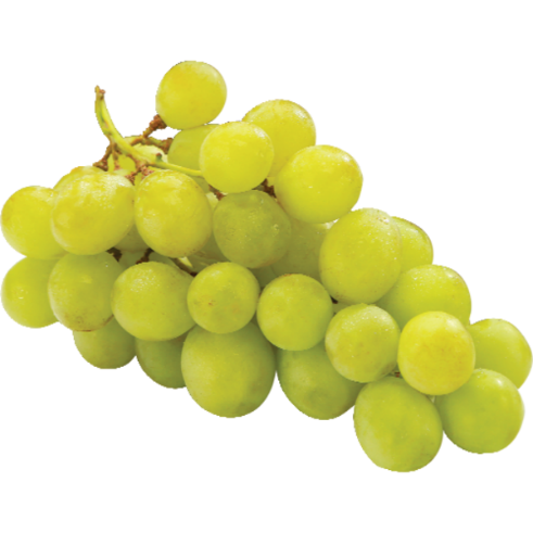 Green Grape (1 Lb)