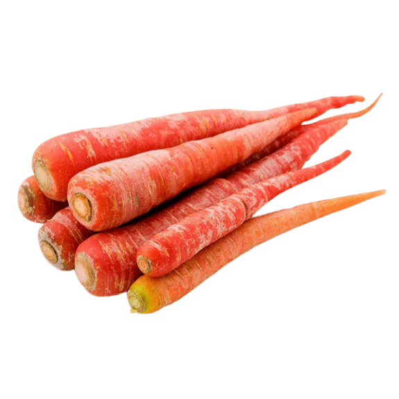 Indian Carrot (1 LB)