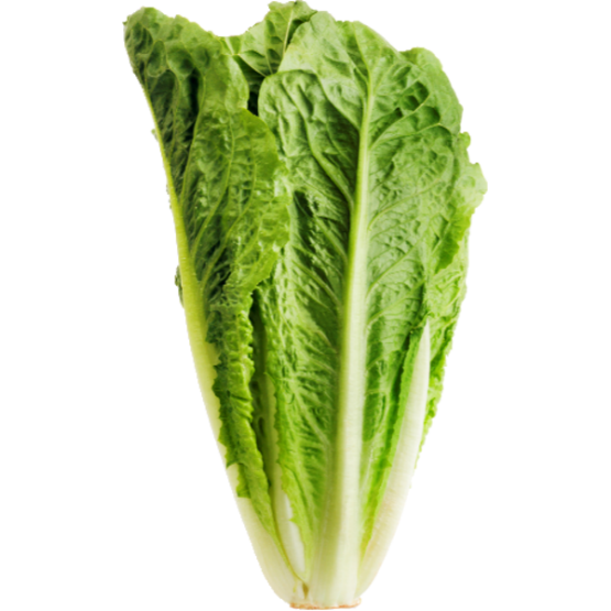 Lettuce (EACH)