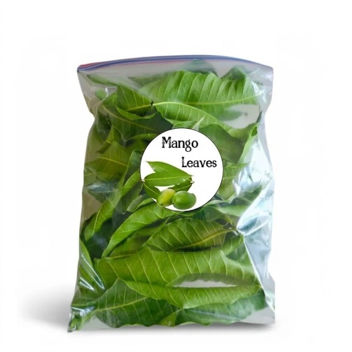 Mango Leave (Pkt)
