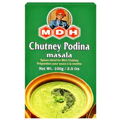 MDH chutney podina masala (100 g)