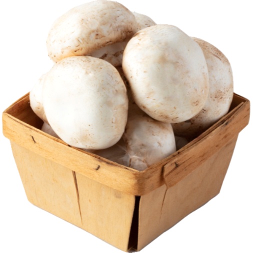 Mushroom (EACH)