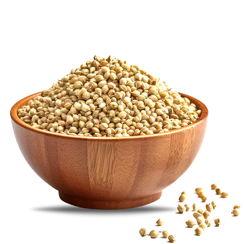 patel brothers corainder seeds (3.5 oz)