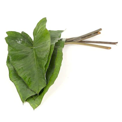 Patra Leaves (1 Lb)