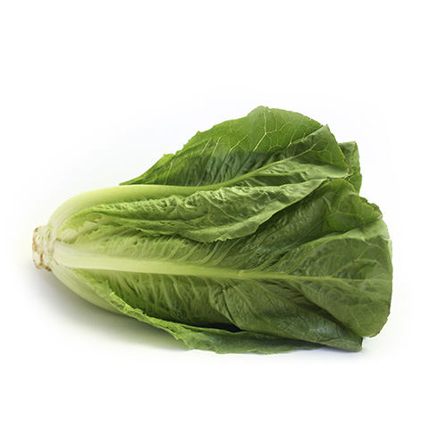 Romaine Lettuce (EACH)