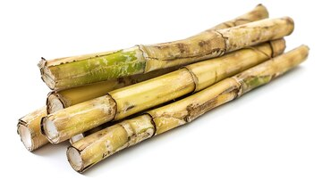 Sugarcane (EACH)