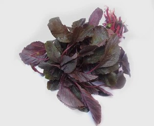 Tandadjo Leaves (1 Lb)