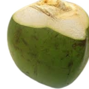 Young coconut (EACH)